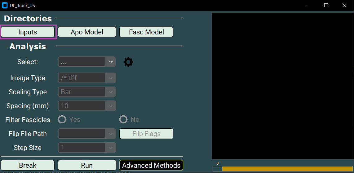 input button
