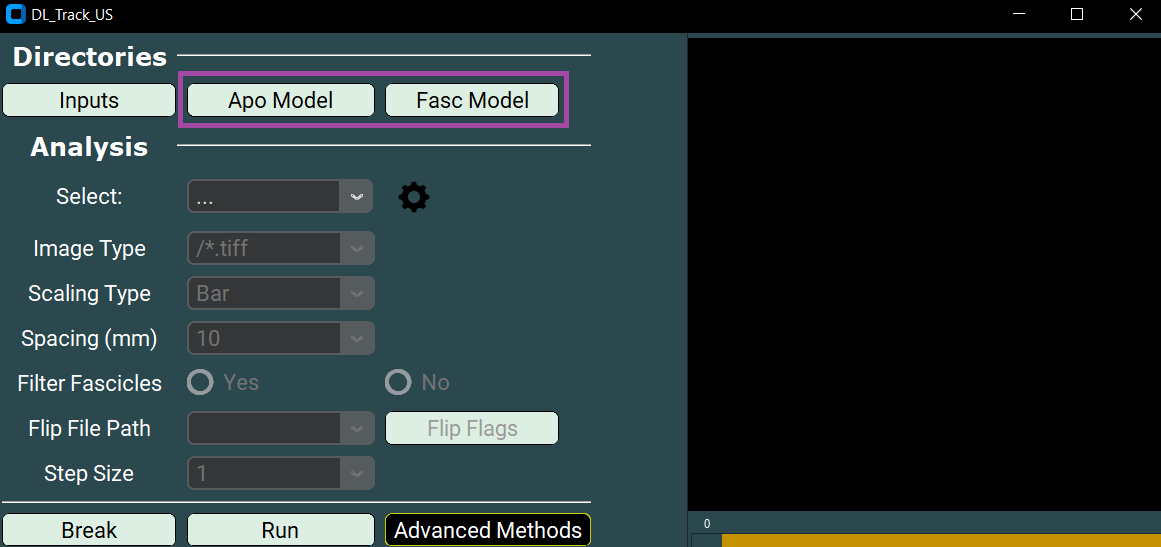 apo model fasc model